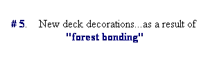 Text Box: # 5.    New deck decorations...as a result of  "forest bonding"
